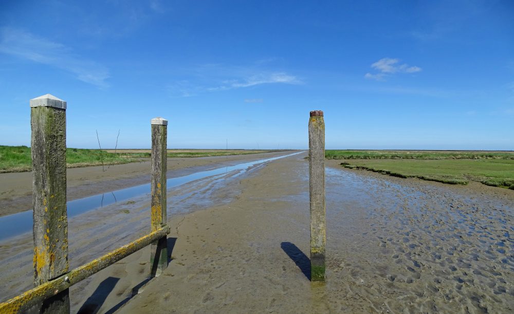 Wad bij Noordpolderzijl